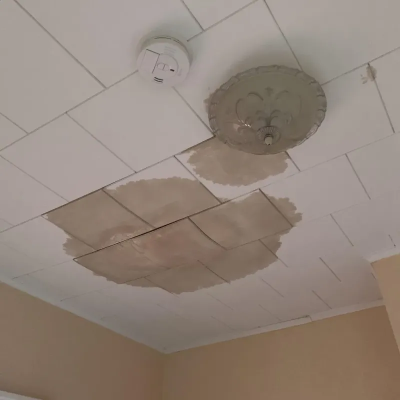 Ceiling Water Damage Repair in Crown Point, IN