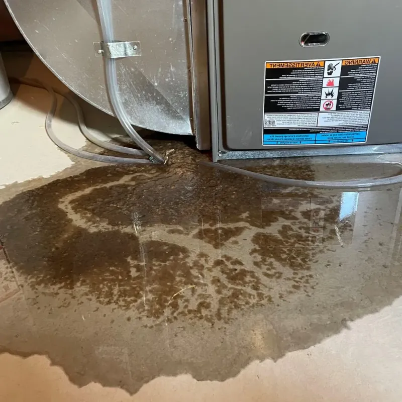 Pipe Burst and Leak Restoration in Crown Point, IN