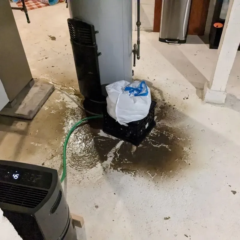 Sewage Backup Cleanup Service in Crown Point, IN